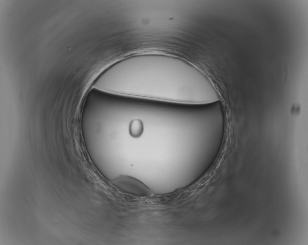 X0000112090289200908041055
