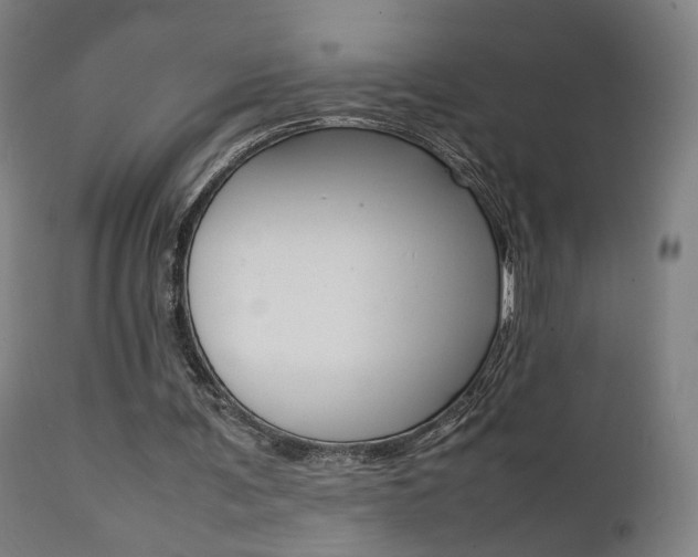 X0000112090291200908041055