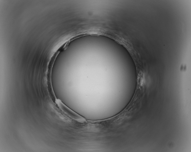 X0000112090292200908041055