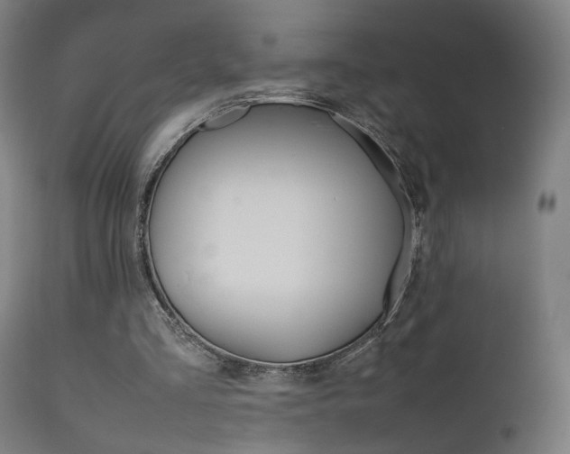 X0000112090293200908041055