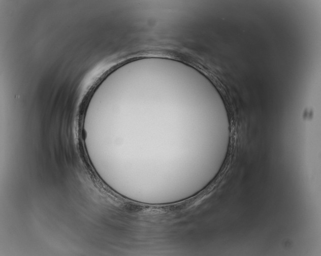 X0000112090294200908041055