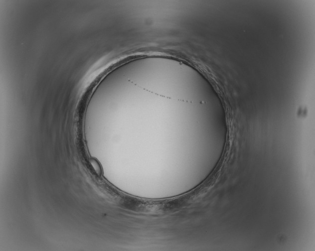 X0000112090295200908041055