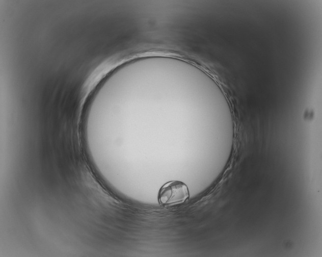 X0000112090296200908041055