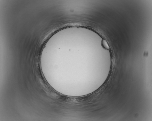 X0000112090297200908041054