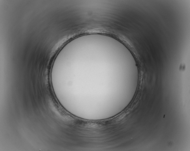 X0000112090298200908041054