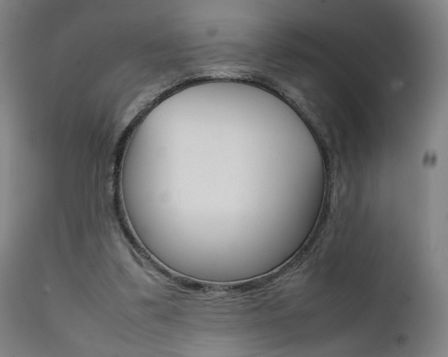 X0000112090299200908041054