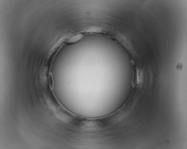 X0000112090300200908041054