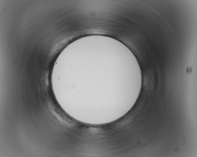 X0000112090302200908041054