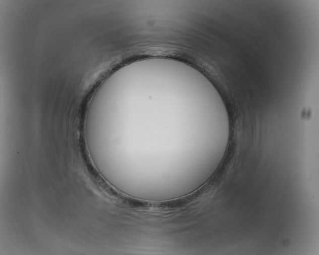 X0000112090303200908041054