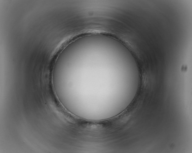 X0000112090304200908041054