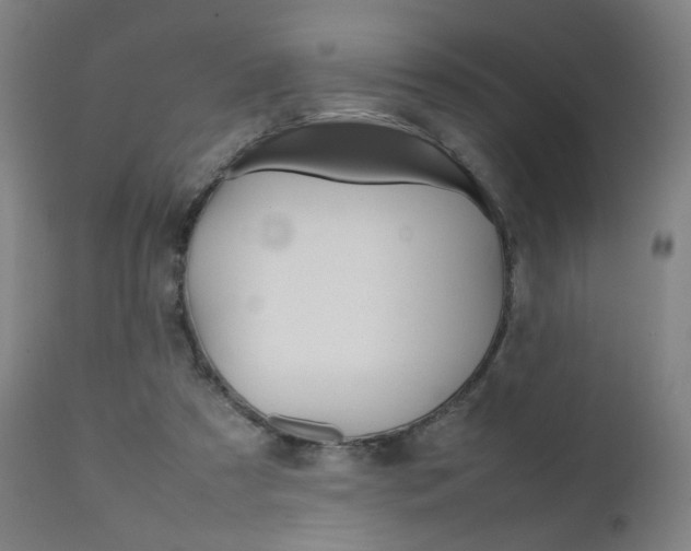 X0000112090305200908041054