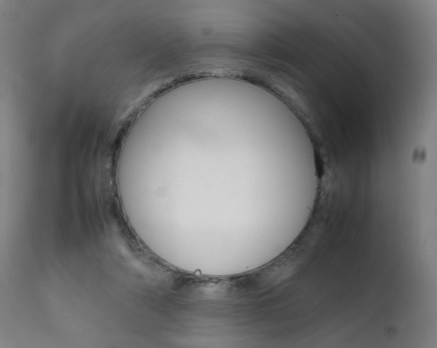 X0000112090306200908041054
