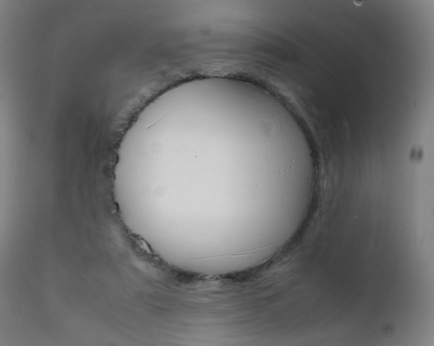 X0000112090307200908041054