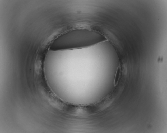 X0000112090308200908041054