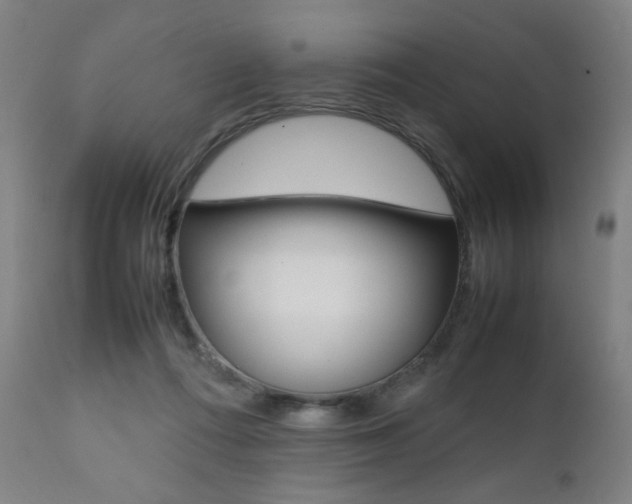 X0000112090312200908041054