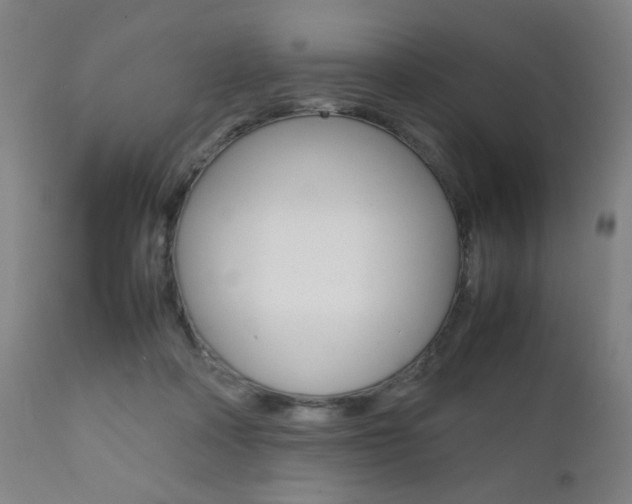 X0000112090314200908041054