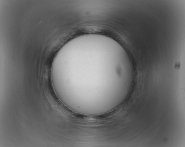 X0000112090315200908041054