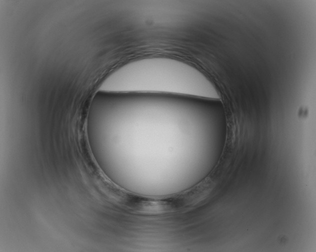 X0000112090316200908041054