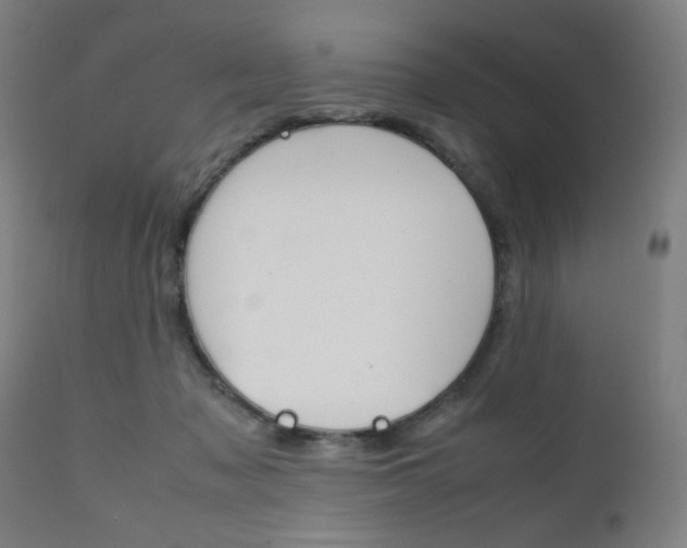 X0000112090317200908041054