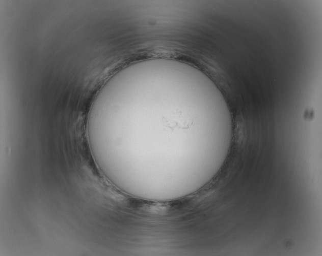X0000112090318200908041054