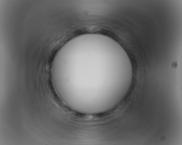X0000112090319200908041054