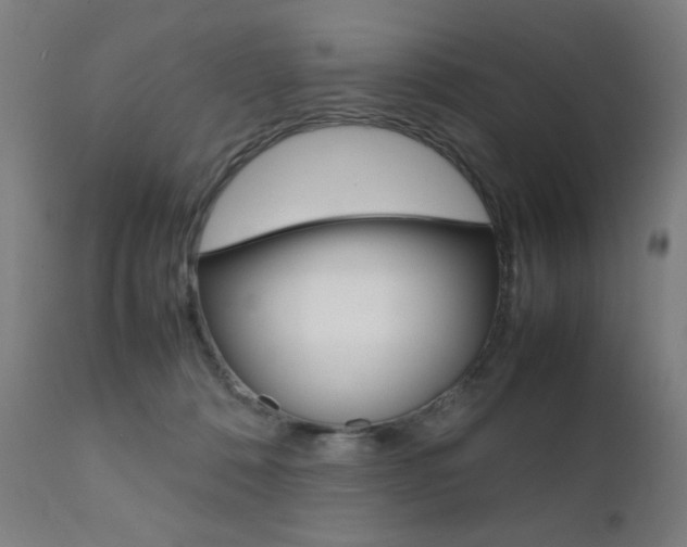 X0000112090320200908041054
