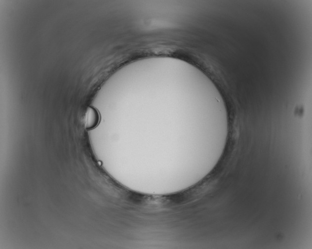 X0000112090321200908041054