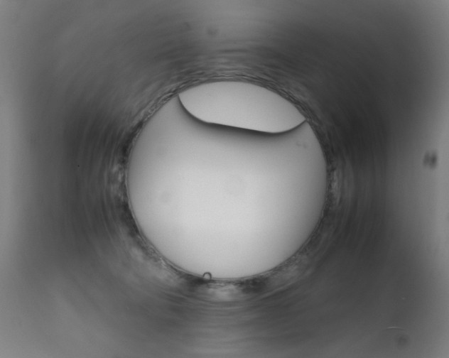 X0000112090322200908041054