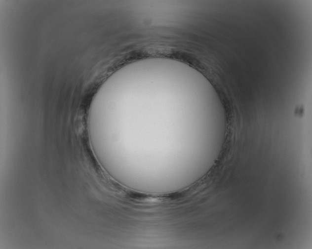 X0000112090323200908041054