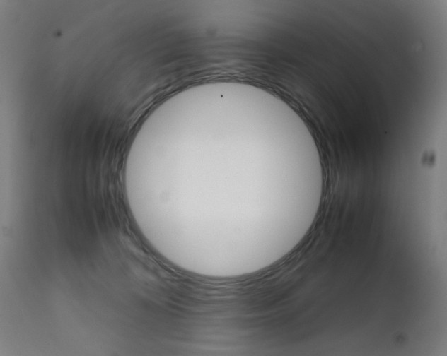 X0000112090324200908041054