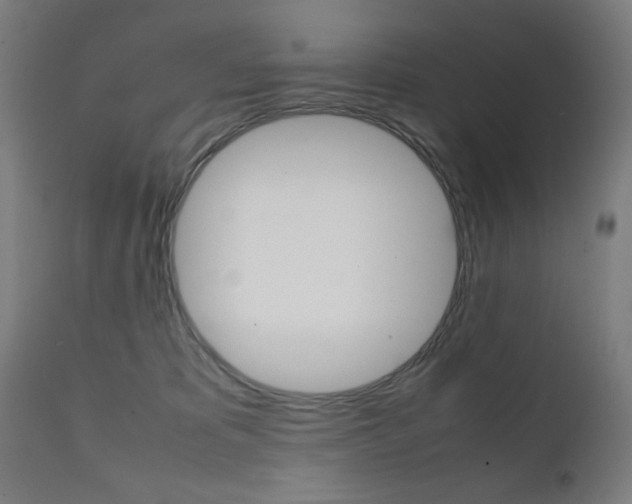 X0000112090325200908041054