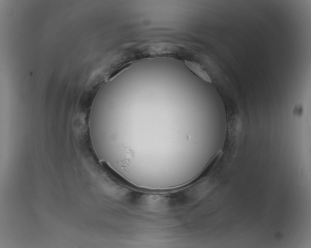 X0000112090327200908041054