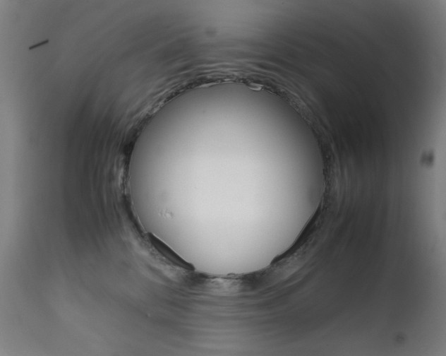 X0000112090328200908041054