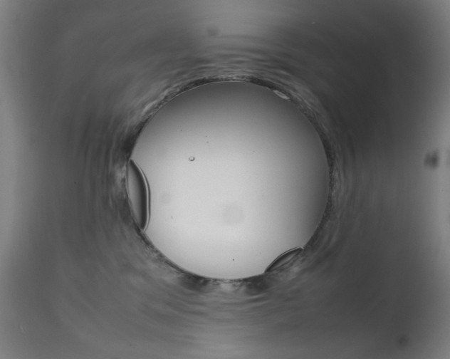 X0000112090329200908041054