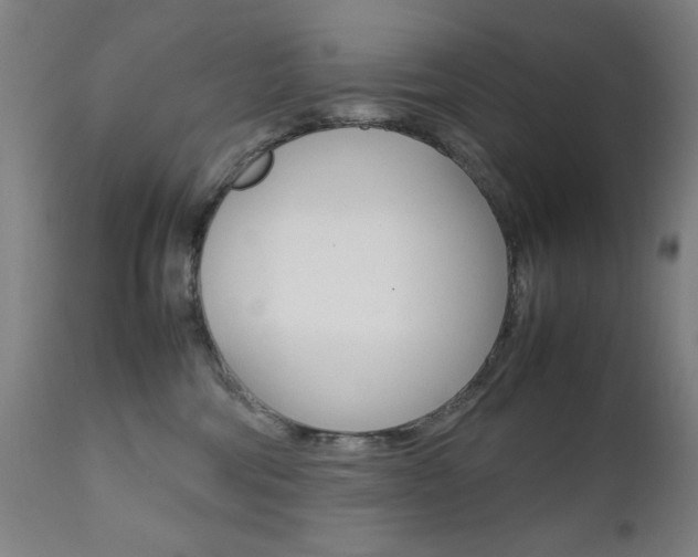 X0000112090330200908041054