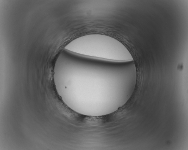 X0000112090331200908041054