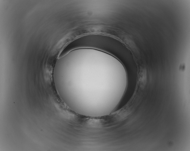 X0000112090332200908041054