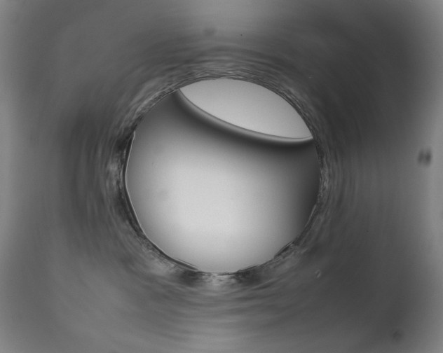 X0000112090333200908041054