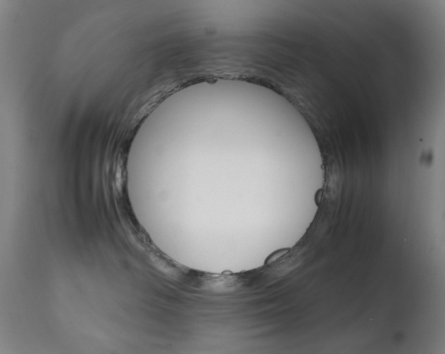 X0000112090334200908041054