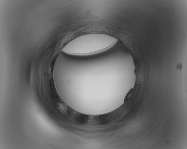 X0000112090335200908041054