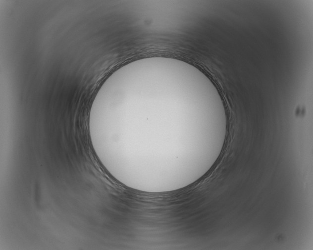 X0000112090336200908041054