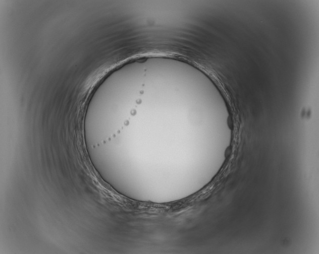 X0000112090337200908041053