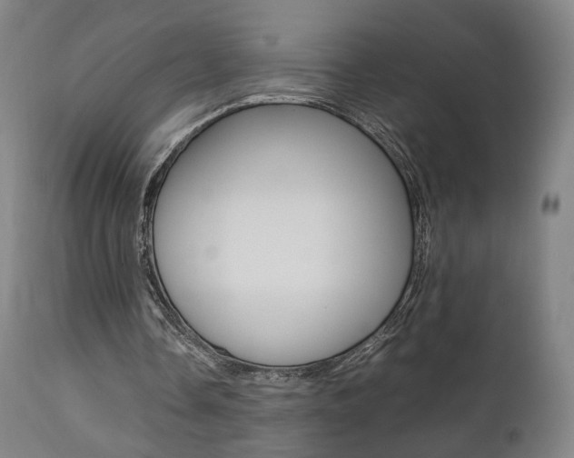 X0000112090338200908041053