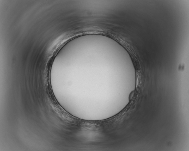 X0000112090339200908041053