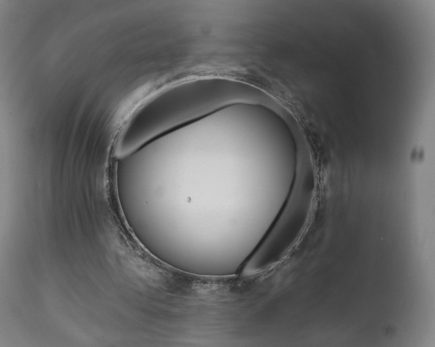 X0000112090340200908041053