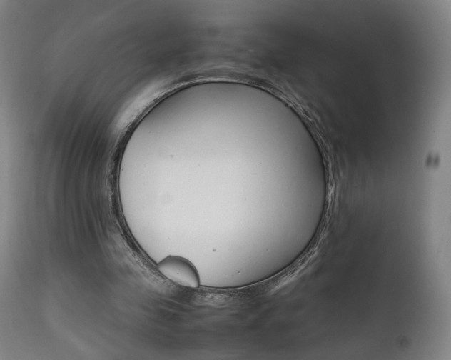 X0000112090341200908041053