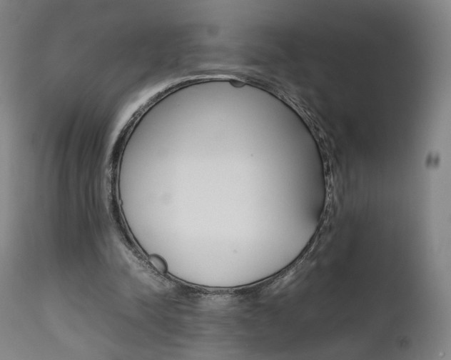 X0000112090342200908041053