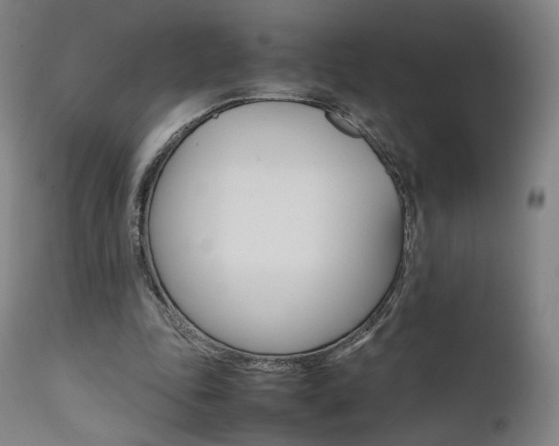 X0000112090343200908041053