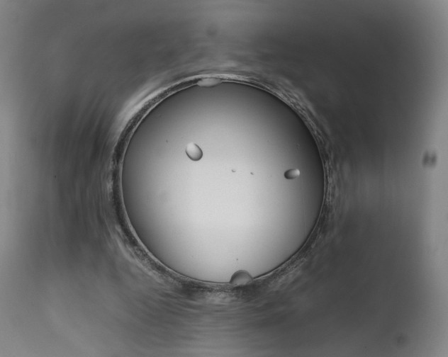 X0000112090344200908041053
