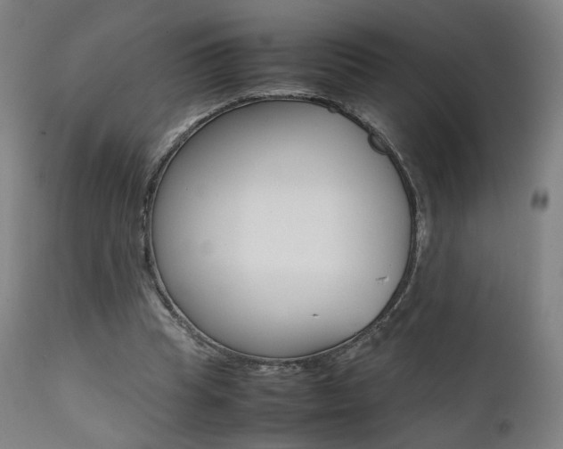 X0000112090345200908041053